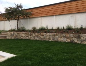 15032164_1131375083643814_3797820741867231540_n 15032164_1131375083643814_3797820741867231540_n