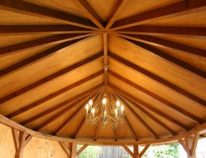 36539365_1733186946795955_8086487755447599104_n 36539365_1733186946795955_8086487755447599104_n